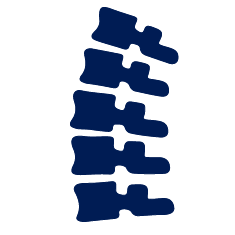 PLIF Posterior Lumbar Interbody Fusion